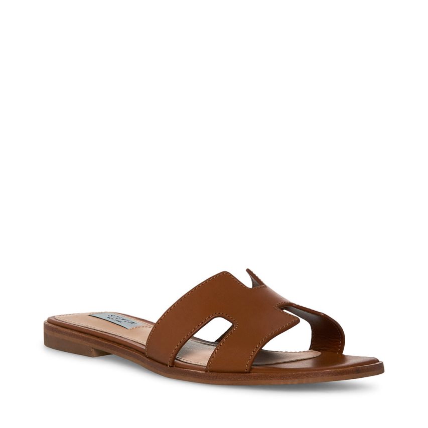 Brown Steve Madden Hadyn Leather Women\'s Slides | PH 432916KI